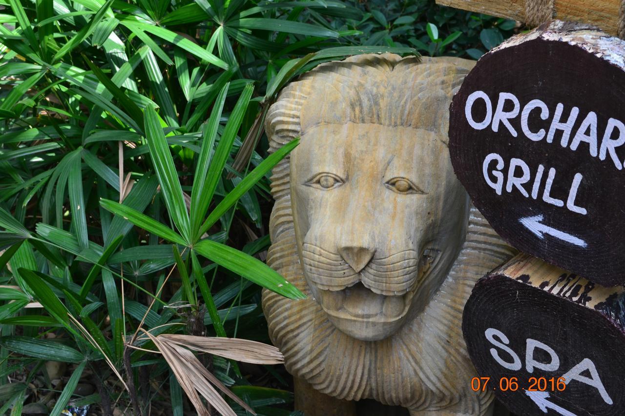 Corbett Wild Iris Spa And Resort ラムナガル エクステリア 写真